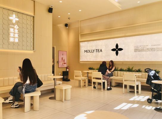 Molly Tea Modern Interior