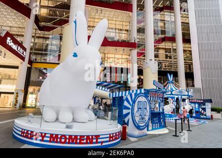 White Rabbit Milk Tea Flagship Store