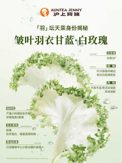 Auntea Jenny Kale Slimming Bottle